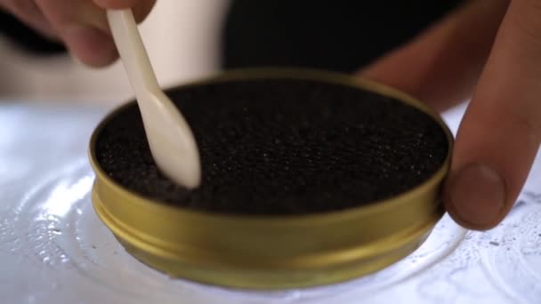 Black sturgeon caviar on a spoon. Luxurious black caviar. Sturgeon caviar in a glass jar — Stock Video