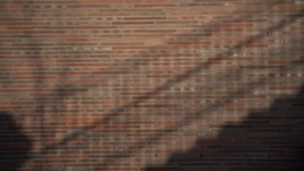 L'ombra di una giovane donna che sale le scale. — Video Stock