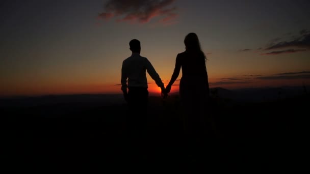 Les deux silhouettes se donnent la main. câlins et baisers à l'arrière-plan du ciel coloré pendant le coucher du soleil. — Video