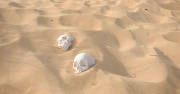 Два черепи білих людей в пустелі — стокове відео