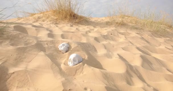 Dois crânios humanos brancos jazem na areia no deserto — Vídeo de Stock