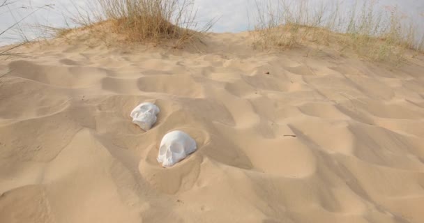 Een menselijke schedel in de woestijn, wind met zand. Dodelijk gevaar in de woestijn. Sluiten.. — Stockvideo