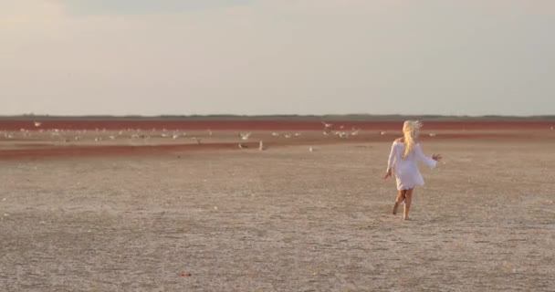 Chica de belleza corriendo y girando en el campo. Mujer joven y bella Emocionada con la libertad del campo. Naturaleza. Concepto de libertad. Vídeo en cámara lenta — Vídeos de Stock