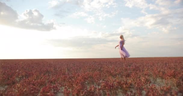 Happy young woman stands on field, catches wind with her hands, meditates and relaxes, absorbs energy of nature. Beautiful free woman enjoying nature in warm rays of sun. Girl travels — Stock Video