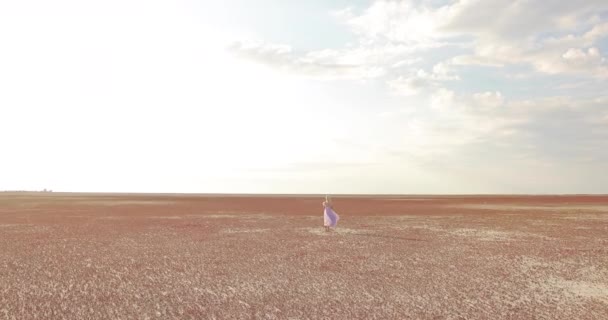 Chica romántica de pie en el campo al atardecer y ver hermoso paisaje. vista trasera de la mujer disfrutando de la naturaleza maravillosa y el viento agitando su cabello rubio. Concepto de feminidad — Vídeos de Stock