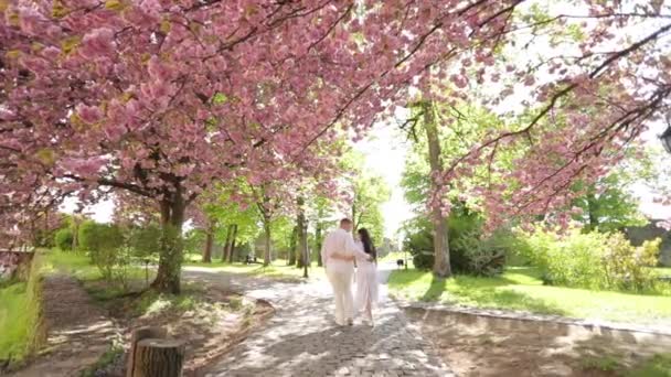 Vista posteriore. Giovane coppia innamorata in abiti bianchi che si abbraccia passeggiando nel giardino di sakura — Video Stock