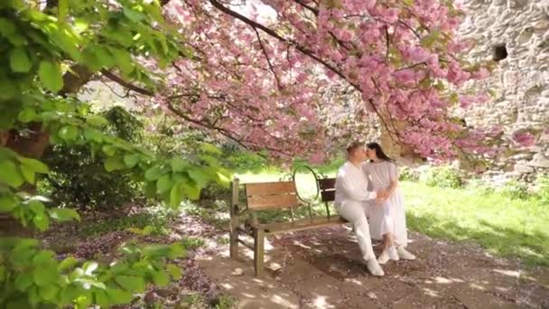 Dua kekasih duduk di bangku di indah berbunga merah muda sakura taman dan mencium satu sama lain. — Stok Video