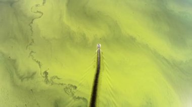 Sabahları göl manzarası. Güzel göl. Göl manzaralı..