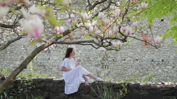 หญิงสาวสวยเพลิดเพลินกับธรรมชาติและสัมผัสดอกไม้แมกโนเลียฤดูใบไม้ผลิมีความสุขสาวสวยในสวนที่มีต้นแมกโนเลียบาน โมเดลกลิ่นดอกไม้ — วีดีโอสต็อก