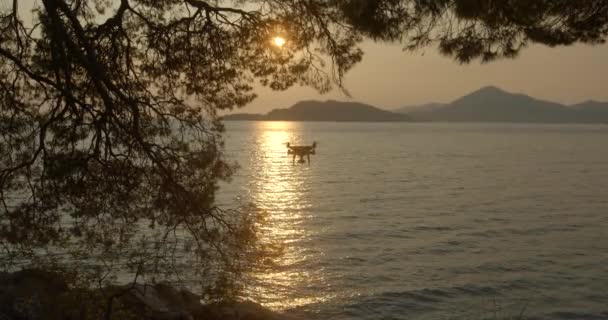 Blick durch einen Baum auf dem vorwärts fliegenden Hubschrauber über das Meer und die Berge während des Sonnenuntergangs. Boot und Katamaran schwimmen im Wasser. 4k. — Stockvideo
