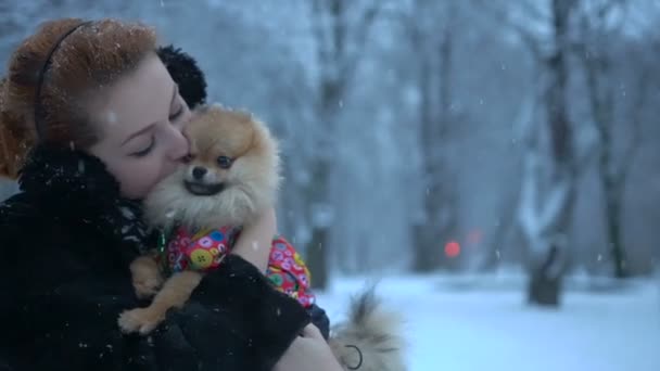 Pessoas e animais de estimação. A bela mulher encantadora está beijando o amado spitz pomeranian muito fofo durante a queda de neve no parque. — Vídeo de Stock
