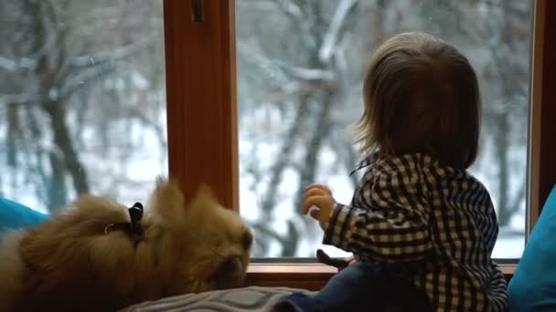 Schöne kleine blonde Kleinkind und seine flauschige Pommernspitze schauen auf den Schnee durch Fenster, während sie auf der Fensterbank sitzen. — Stockvideo