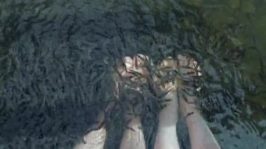 Garra Rufa 'nın yüzdüğü suya nazikçe dokunan iki çift yalın ayak. Spa terapisi..