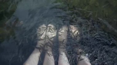 Spa Terapisi Tedavi İlacı İki Çift Kadın Çıplak Ayak Garra Rufa Su Okyanusu.