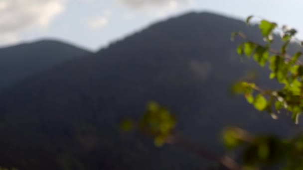 Hermosa vista soleada del paisaje de las montañas cubiertas de árboles gruesos. La forma del corazón en las montañas. — Vídeos de Stock