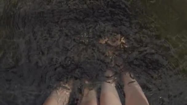 Spa behandeling met Garra Rufa zwemmen in het water met twee paar kale vrouwelijke en mannelijke voeten. Bovenaanzicht. — Stockvideo