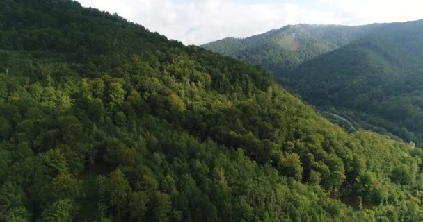 Vista do drone voador sobre as montanhas ensolaradas cobertas com exuberante floresta verde. Localização dos Alpes, 4k. — Vídeo de Stock