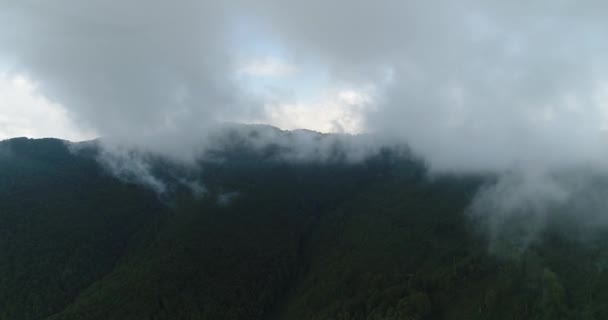 霧の緑の山々。厚い雲の中を飛行ドローン。4k,アルプス. — ストック動画