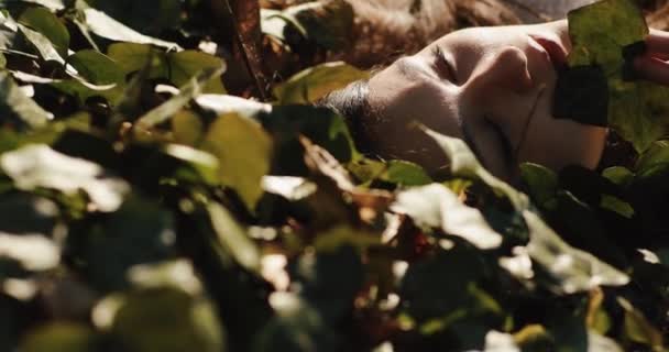 Hezká brunetka si užívá počasí ležící na spadlém listí v podzimním parku a zavírá oči. Žena se svými něžnými rty dotkne spadlého listu. Relaxace — Stock video