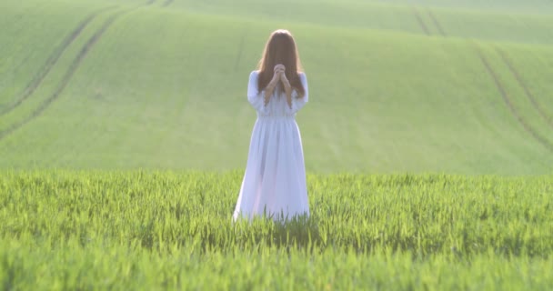 Young woman walking alone in wheat field. — Stock Video