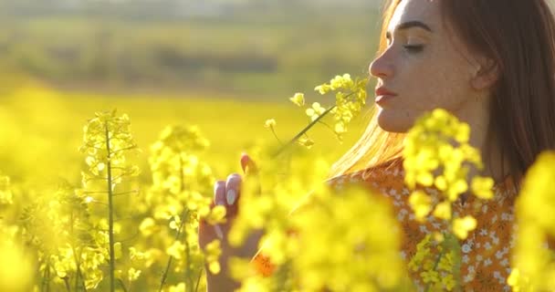 Attractive young woman with red hair in a yellow dress in a field sniffing yellow flowers. red-haired beautiful girl with freckles on her face. — Stock Video