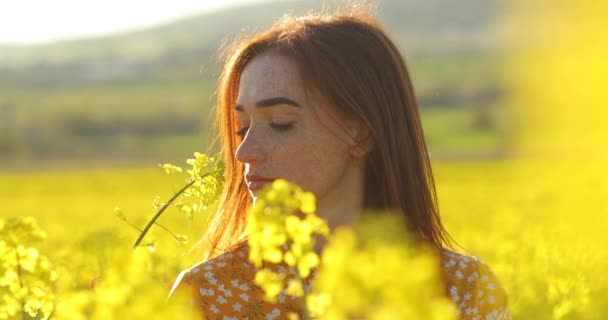 Closeup portrait of redheaded young woman with freckles in a field with rapeseed flowers. Young woman in yellow dress touching yellow flowers. — Stock Video