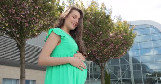 Ciężarna kobieta czuje się szczęśliwa opiekując się dzieckiem. Młodzi spodziewają się matki trzymającej dziecko w brzuchu ciężarnej. Opieka prenatalna macierzyństwa i koncepcja ciąży kobiet — Wideo stockowe