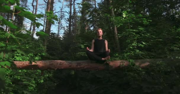 Ο άνθρωπος κάνει γιόγκα και διαλογίζεται στο δάσος το πρωί.. — Αρχείο Βίντεο