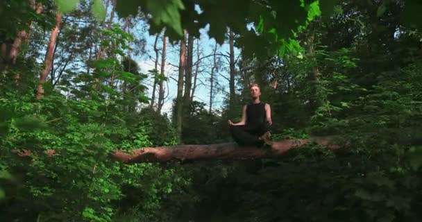 Giovane uomo sta facendo la sua pratica yoga nel bosco al tramonto — Video Stock
