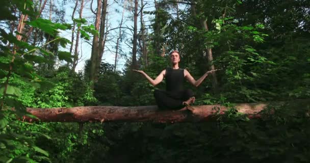 Yoga en la madera. Joven en posición de loto, sentado en un árbol caído, el concepto de paz y meditación 4k — Vídeo de stock