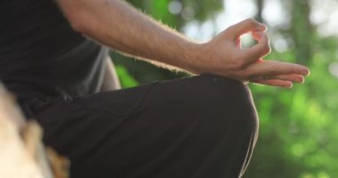 Doğada meditasyon yapan bir adamın elleri. Doğayla uyum içinde.