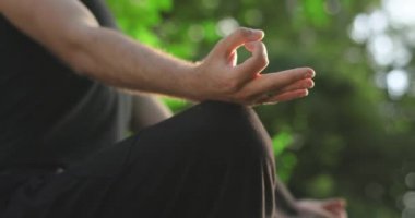 Doğada meditasyon yapan bir adamın elleri. Ormandaki doğayla uyum içinde. İç huzuru.
