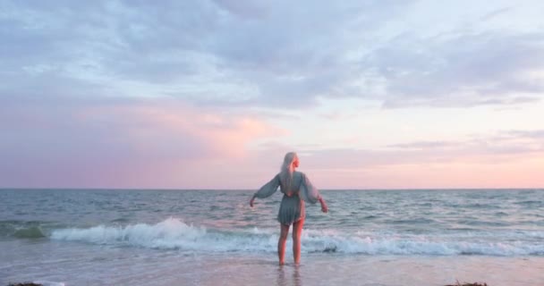 Die attraktive Blondine genießt den Meerblick und einen sehr schönen Sonnenuntergang. Pinkfarbene Wolken — Stockvideo