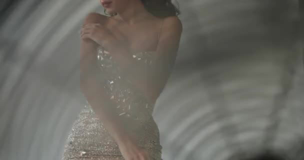 Modelka pozowała w studio. Spójrz zza wentylatora na ładny model w krótkiej, błyszczącej sukience i koronie stojącej przed białą ścianą — Wideo stockowe
