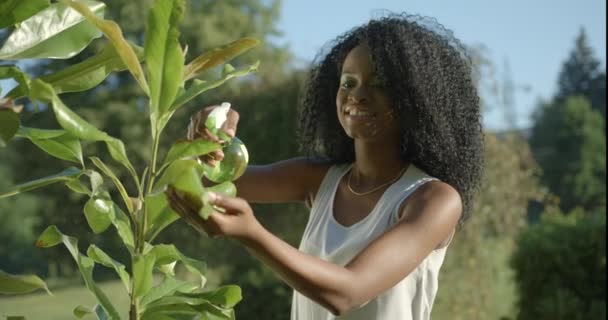 Adorable joven afro-americana con una bonita sonrisa, lápiz labial neutro y sombras de ojos verdes está utilizando el spray de plástico verde para las plantas al aire libre. Composición verde. — Vídeo de stock