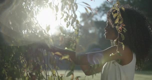 Potret samping dari wanita afro-american ceria dengan make-up alami indah tersenyum sambil menggunakan plastik hijau pemicu semprotan untuk tanaman luar ruangan di latar belakang sunlits. — Stok Video