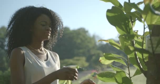 Boczny portret młodej afro-amerykańskiej dziewczyny z ładnym uśmiechem, zielonymi cieniami do powiek i neutralną szminką dbającej o rośliny na zewnątrz za pomocą zielonego plastikowego sprayu. 4k. — Wideo stockowe