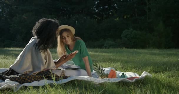 Vrolijke multi race vrienden zijn blij praten en kijken naar iets aan de telefoon tijdens hun picknick op het weitje. — Stockvideo