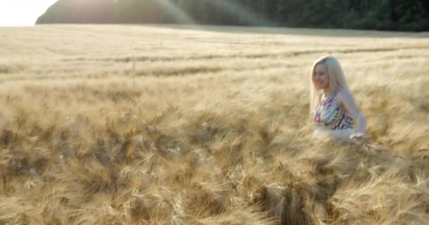 Atrakcyjna młoda kobieta z blond włosami, naturalnym makijażem i ładnym uśmiechem wędruje po polu i dotyka wysokich złotych płatków w słońcu. — Wideo stockowe