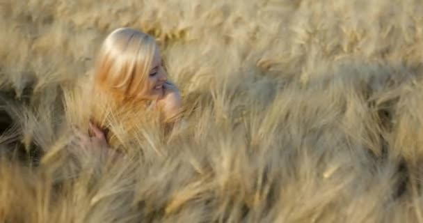 Солнечная композиция. Счастливая блондинка с натуральным макияжем и прекрасная улыбка обнимает высокие золотые шипы пшеницы в поле. — стоковое видео