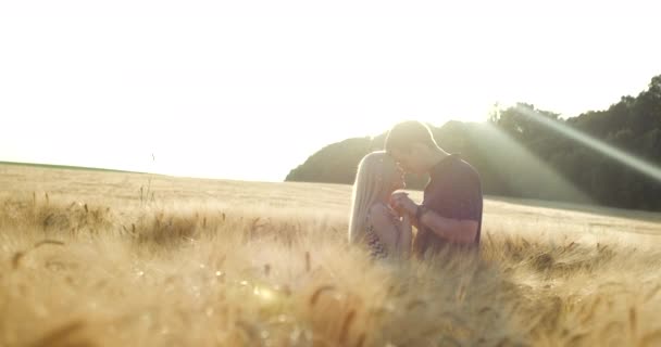 Mooi liefdevol paar houdt elkaars hand vast en knuffelt teder in het gouden tarweveld in de zon. — Stockvideo