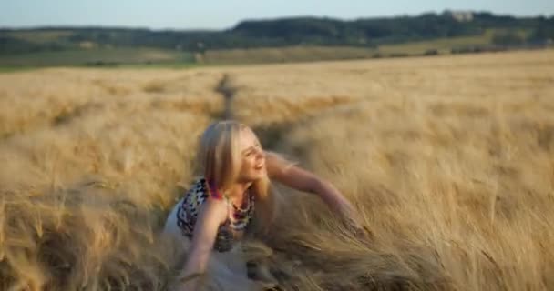 Emotional portrait of the beautiful blonde girl with pretty smile and natural make-up touching golden wheats while walking along the field in the sun. — Stock Video