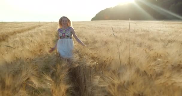 Wesoło biegając i kręcąc się wokół młodej blondynki wzdłuż złotego pola pszenicy podczas zachodu słońca. Portret z przodu. — Wideo stockowe