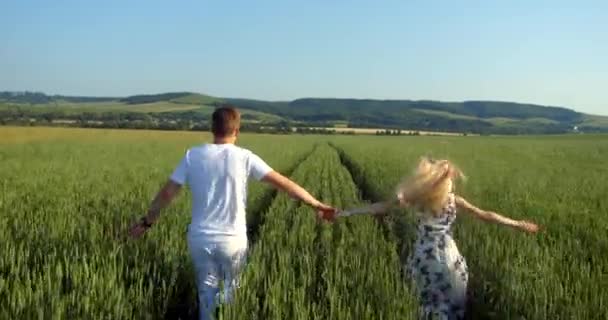 Vista trasera de la feliz y hermosa pareja de enamorados tomados de la mano mientras corren por el campo de trigo verde. El fondo de las montañas. — Vídeos de Stock