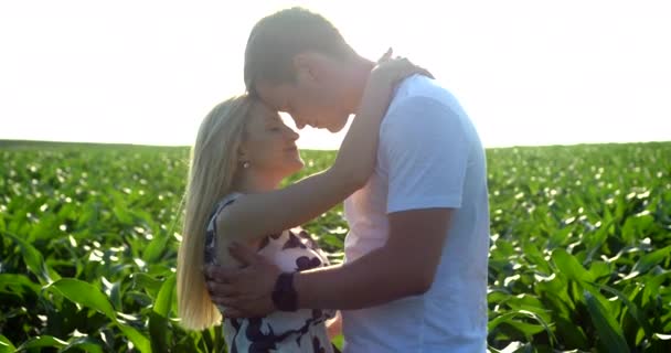 Romantikus portré a vonzó boldog pár gyengéden gazdaság és csók a zöld mezőn a napon. — Stock videók