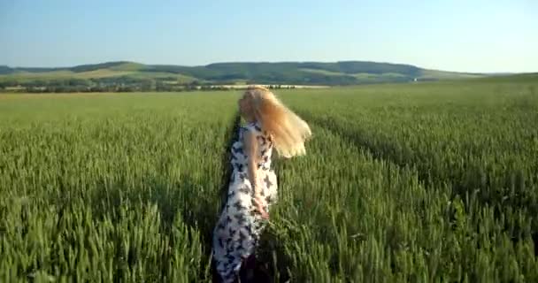 Achteraanzicht van de schattige glimlachende blonde vrouw met natuurlijke make-up in het veld. Ze raakt de groene tarwe aan en draait rond terwijl ze over het veld rent.. — Stockvideo