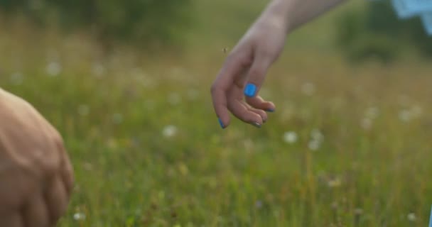 Adam nazikçe kadının elini tutuyor ve altın tarlada ona sarılıyor.. — Stok video