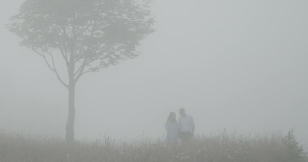 Liebendes Paar Händchenhaltend Gehen Wiesenpfad Feld Dicker Nebel 4k Zeitlupe. — Stockvideo