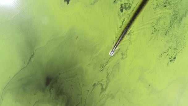 Das Ergebnis der Umweltkatastrophe am Amazonas in Südafrika. Obere Ansicht vom Hubschrauber aus. Die schwimmende Jacht am grünen Wasser. — Stockvideo