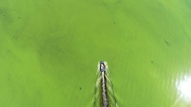 Environment pollution of the Amazon River in South Africa. Flying copter over the boat swimming along the green dirty water. — Stock Video